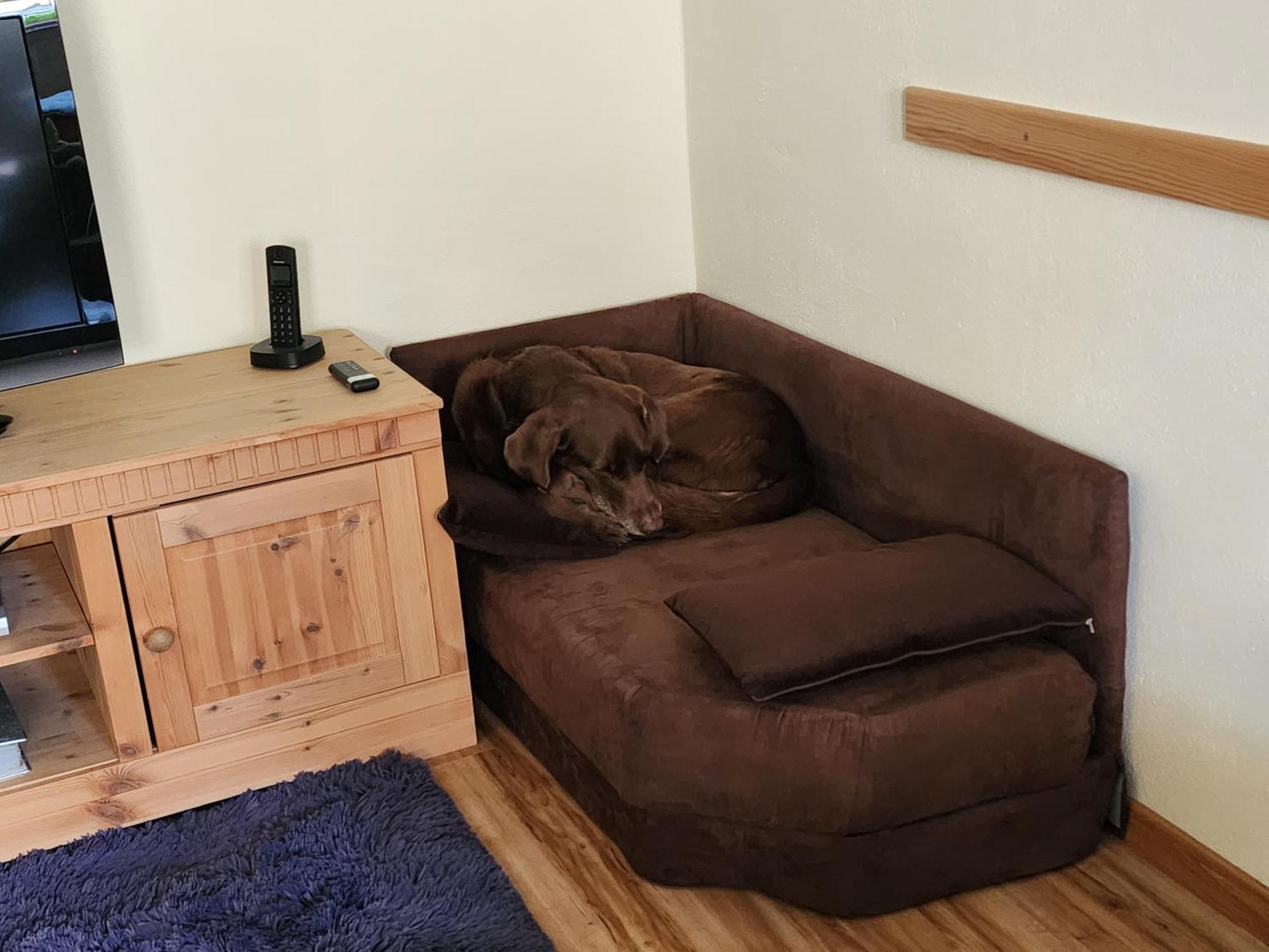 Ferienwohnung Baer 포헨슈트라우스 외부 사진